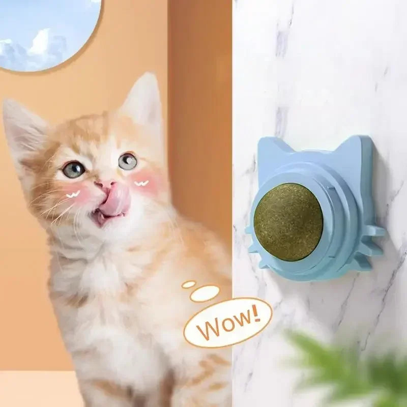 Lickable Catnip Balls