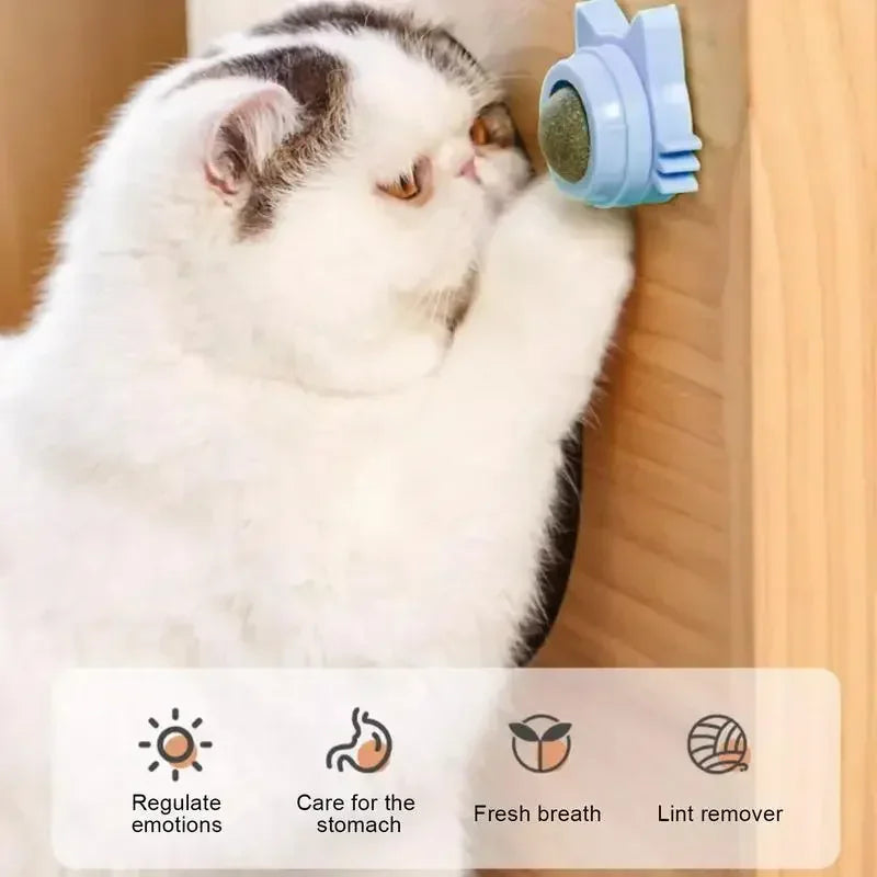 Lickable Catnip Balls