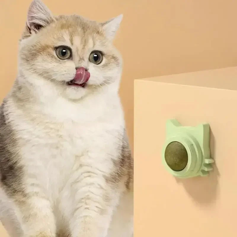 Lickable Catnip Balls