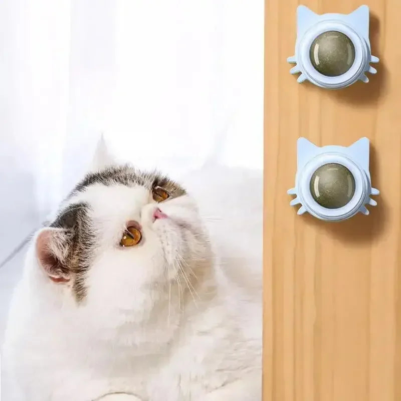 Lickable Catnip Balls