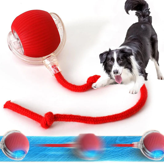 Smart Electric Ball Toy – Automatic Interactive Play for Cats & Dogs